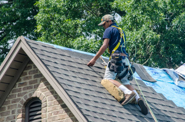 Best Gutter Installation and Roofing  in Maine, WI